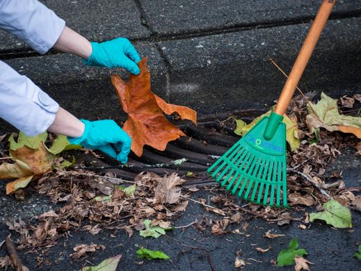 Residents clearing debris from catch basin