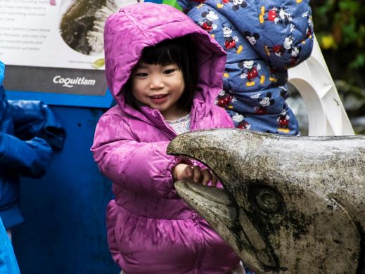 Child admiring salmon sculpture