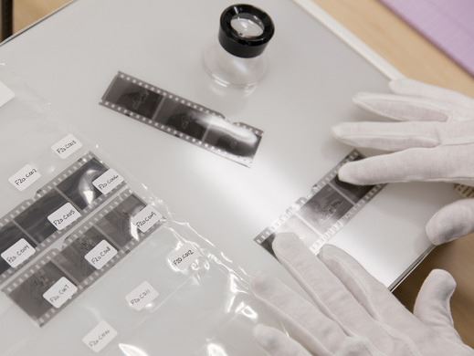 Archivist examining images