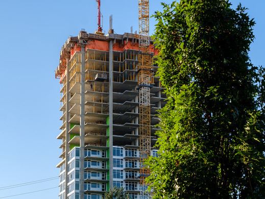 Skyscraper under construction behind fluffy tree.