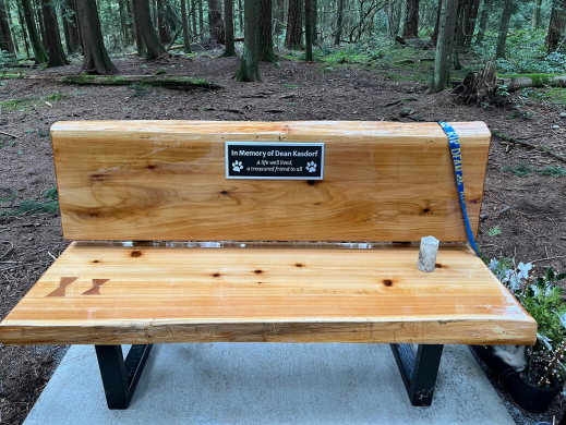 A photo of the new bench