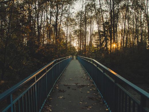 Looking across a pedestrian bridge over Coquitlam River at sunrise