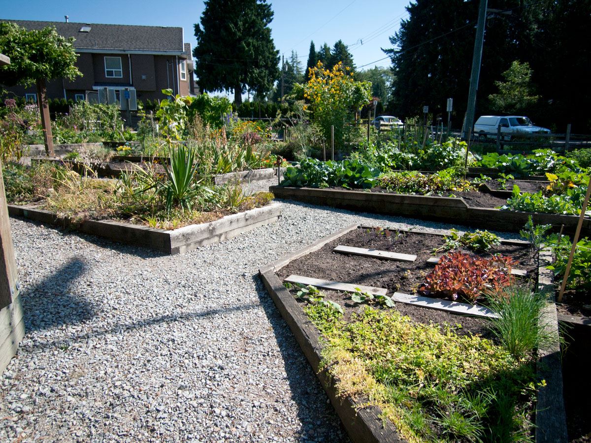 Burquitlam Community Garden Park