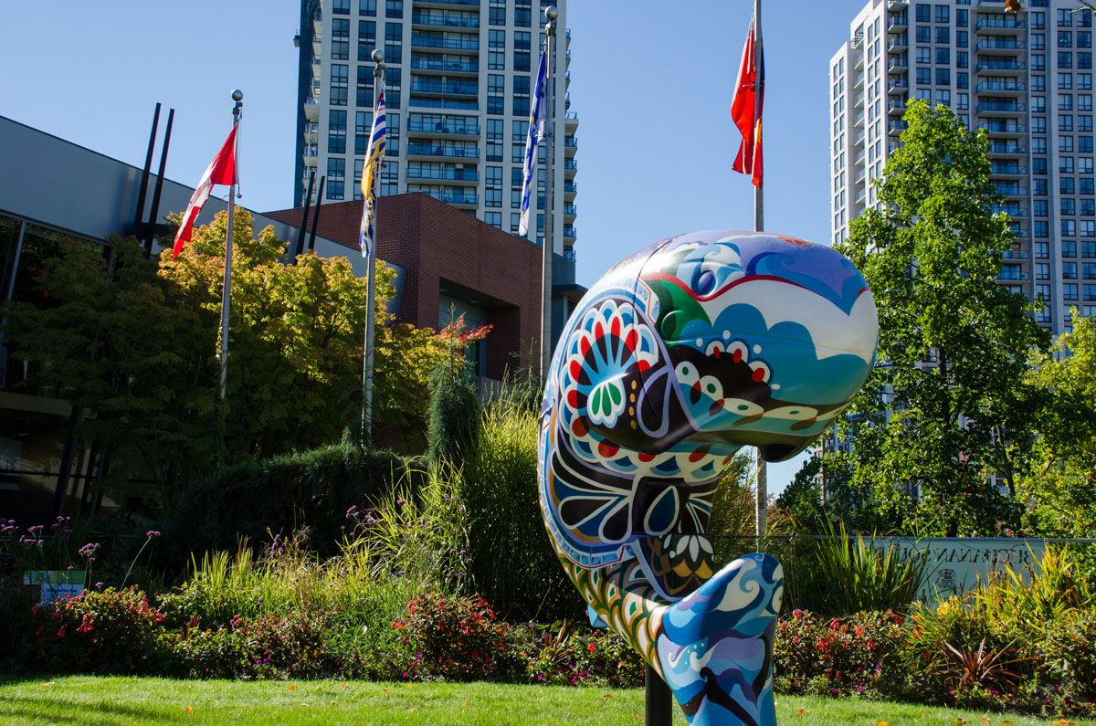 Salmon Project City Hall