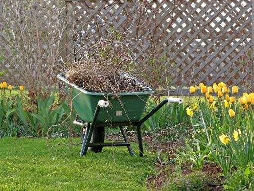 Wheelbarrow with sticks