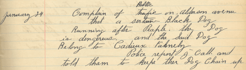 Photo of handwritten logbook entry: Dog report - January 24 1914