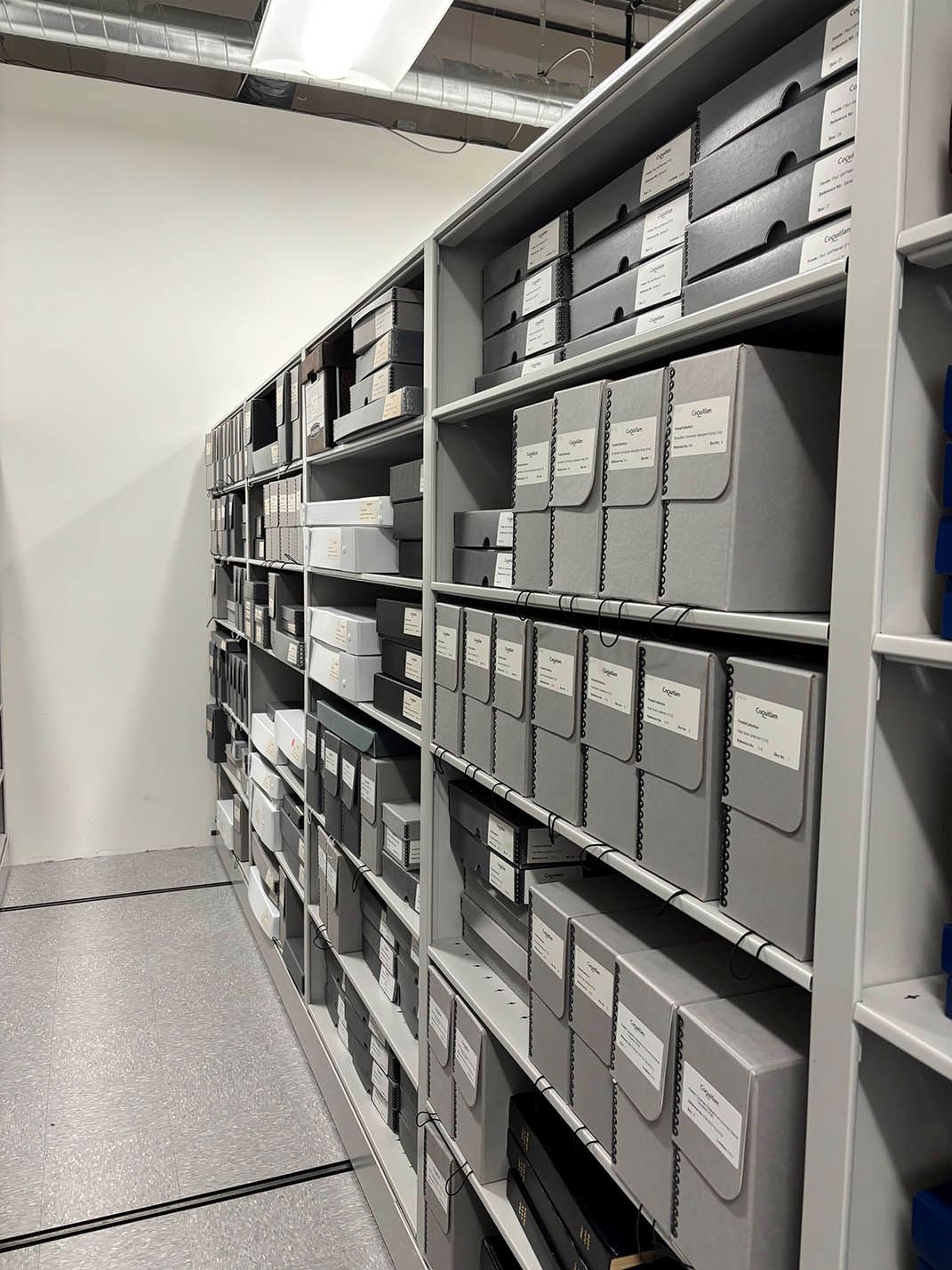 Community records in the vault