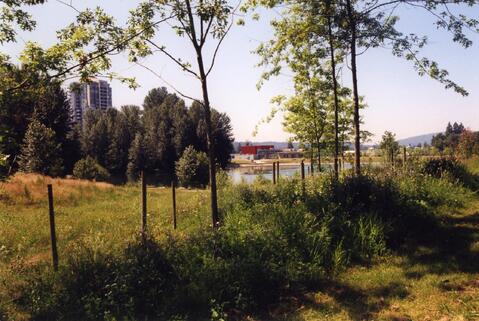 Lafarge Lake, c. 1990s